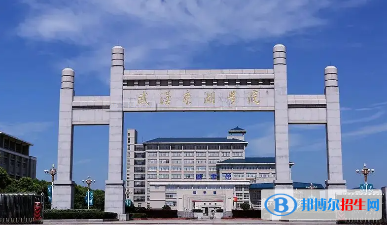 2023湖北物理類455分左右能上什么好大學（本省大學+外省大學）