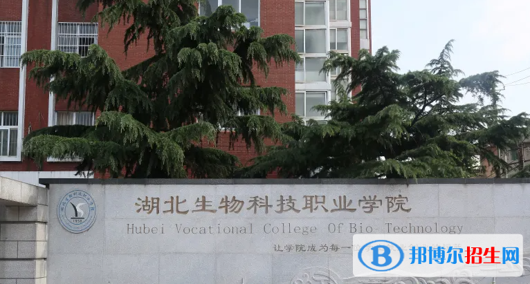 2023湖北物理類270分左右能上什么好大學（本省大學+外省大學）