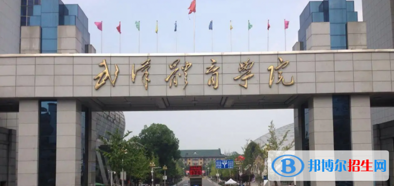 2023湖北物理類225分左右能上什么好大學（本省大學+外省大學）