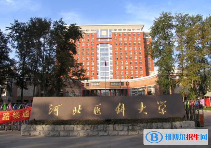 2023河北物理類(lèi)525分左右能上什么好大學(xué)（本省大學(xué)+外省大學(xué)）