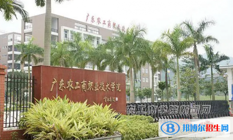 2023廣東歷史類295分左右能上什么好大學（本省大學+外省大學）