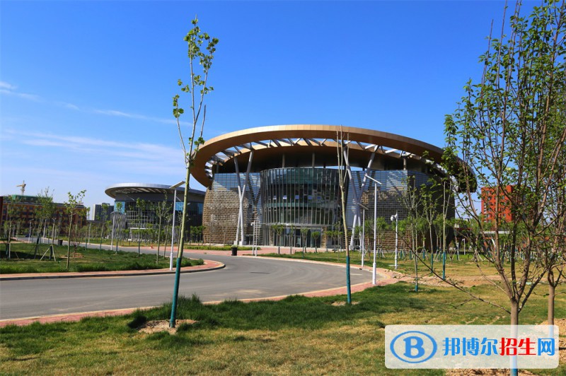 石家莊2023年女生讀計算機學校學什么專業(yè)好