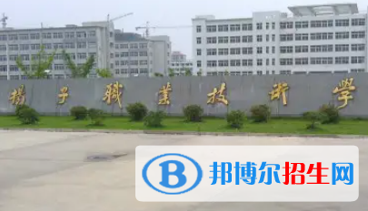 安徽揚子職業(yè)技術(shù)學(xué)院是大專還是中專(安徽揚子職業(yè)技術(shù)學(xué)院)