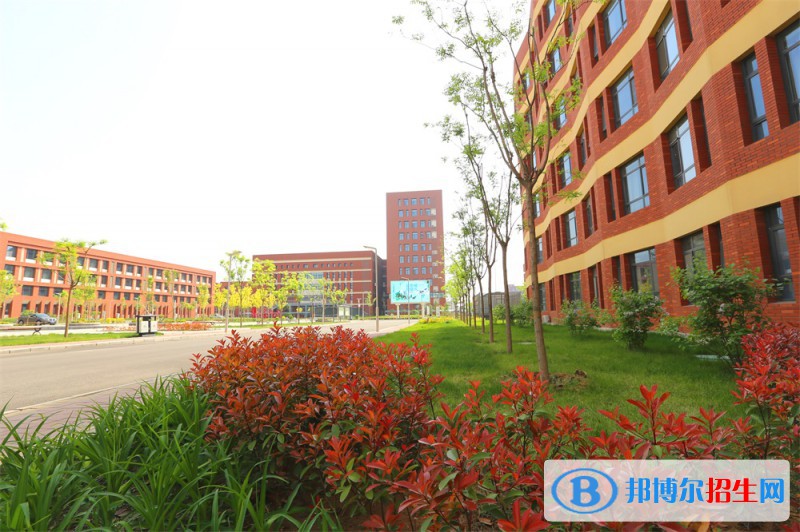 石家莊2023年讀計(jì)算機(jī)學(xué)校讀什么專業(yè)好