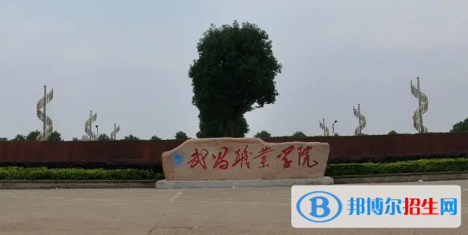 2023湖北歷史類250分左右能上什么好大學(xué)（本省大學(xué)+外省大學(xué)）