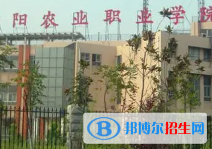 南陽(yáng)農(nóng)業(yè)職業(yè)學(xué)院是大專(zhuān)還是中專(zhuān)（南陽(yáng)農(nóng)業(yè)職業(yè)學(xué)院）