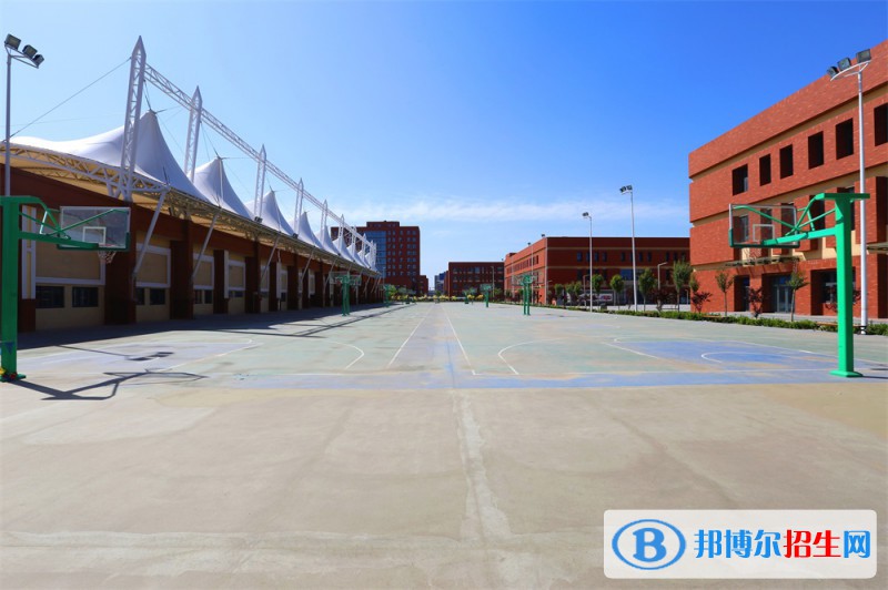 石家莊2023年去計算機學校學什么專業(yè)好