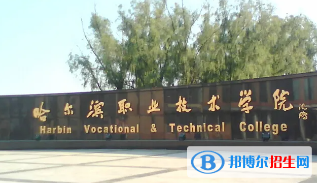2023年哈爾濱職業(yè)技術(shù)學(xué)院單招專業(yè)有哪些？