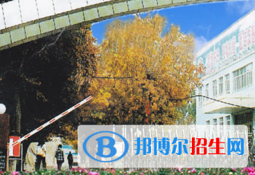 新疆生產(chǎn)建設兵團興新職業(yè)技術學院是大專還是中專(新疆生產(chǎn)建設兵團興新職業(yè)技術學院)