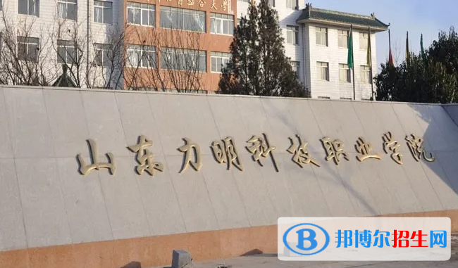 2023年山東力明科技職業(yè)學(xué)院?jiǎn)握袑I(yè)有哪些？