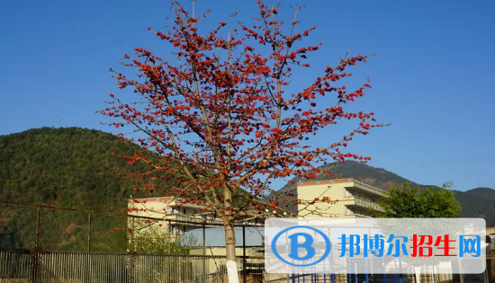 2023攀枝花各區(qū)重點(diǎn)高中學(xué)校名單及排名表