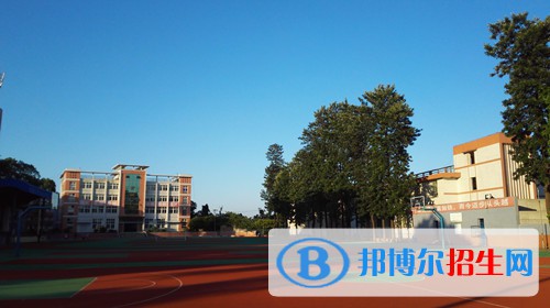 四川2023年哪些計算機學校比較好