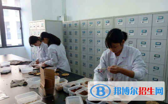 浙江2023年初中畢業(yè)有哪些中專學校