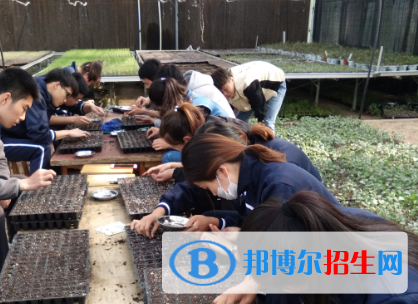 現(xiàn)代農(nóng)業(yè)經(jīng)濟(jì)管理專(zhuān)業(yè)好嗎?