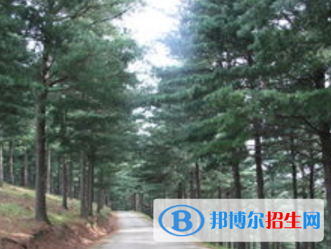 林草生態(tài)保護(hù)與修復(fù)專業(yè)好嗎?