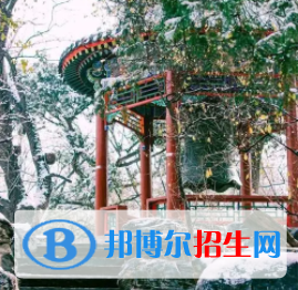 中國大學國際經(jīng)濟與貿(mào)易專業(yè)排名（2022研究型）
