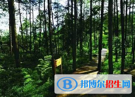 森林防火指揮與通訊專業(yè)好嗎?