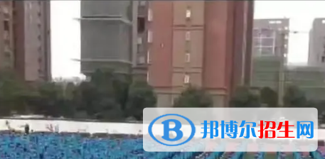 亳州五中、譙城區(qū)宏志中學(xué)2022錄取分?jǐn)?shù)線（2023參考）