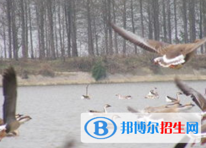 特種動物養(yǎng)殖技術(shù)專業(yè)好嗎?