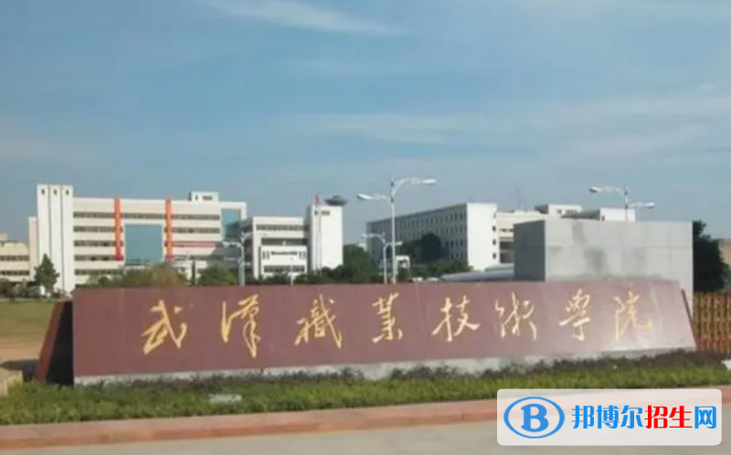 武漢職業(yè)技術學院單招怎么樣？（2024）