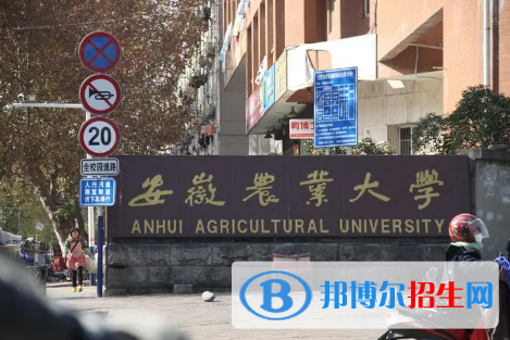 中國大學茶學專業(yè)排名(2022應用型)