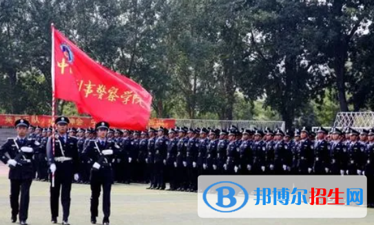 中國大學刑事科學技術專業(yè)排名（2022研究型）