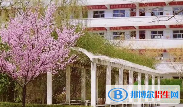 臨洮中學(xué)2023年招生錄取分數(shù)線 