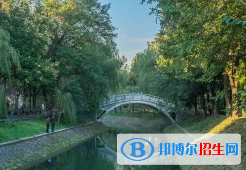 中國(guó)大學(xué)林產(chǎn)化工專業(yè)排名（2022研究型）