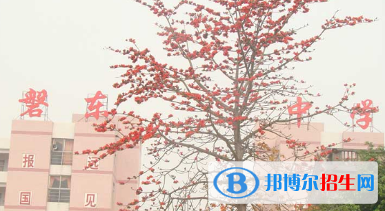 揭陽市揭東區(qū)磐東中學(xué)、白塔中學(xué)2022錄取分?jǐn)?shù)線（2023參考）