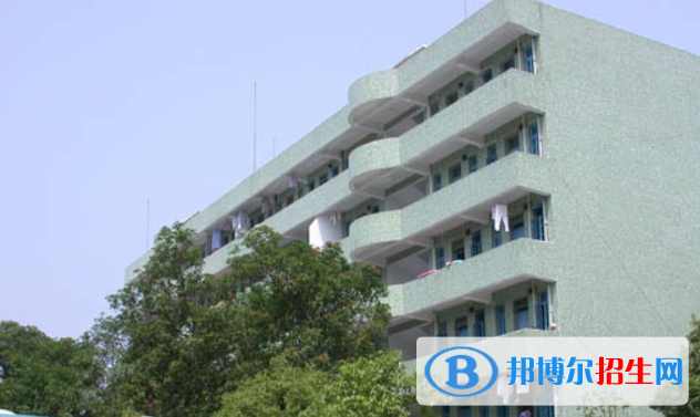 遂溪中考2022錄取分?jǐn)?shù)線