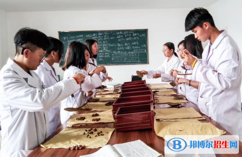 云南2023年中專(zhuān)怎么考