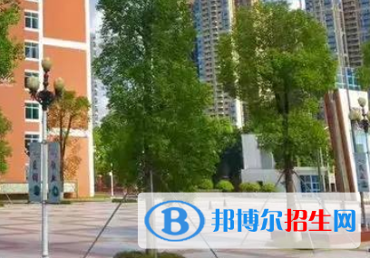 東莞外國(guó)語(yǔ)學(xué)校2022年分?jǐn)?shù)線是多少?(2023參考)