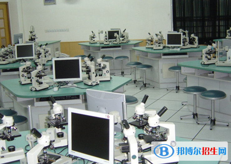 上海文綺中學GAC高中國際課程部2023年錄取分數(shù)線2