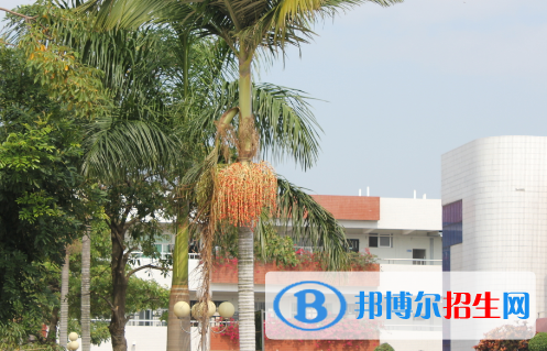 潮陽黃圖盛中學2022錄取分數(shù)線（2023參考）