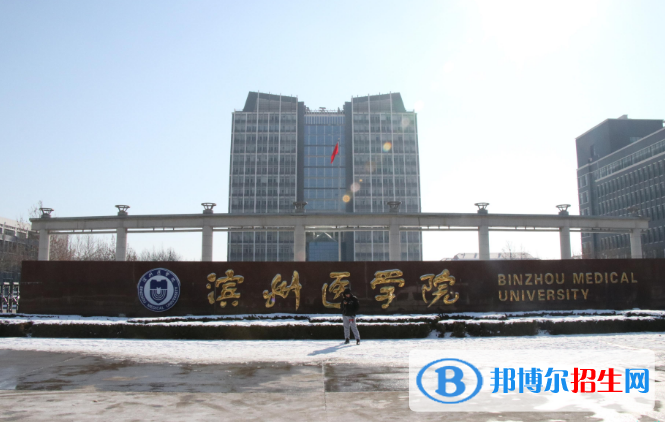 2022濱州市大學(xué)排名(校友會)