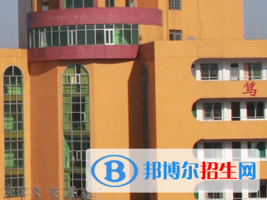 廣東2023年一般計(jì)算機(jī)學(xué)校有什么專業(yè)