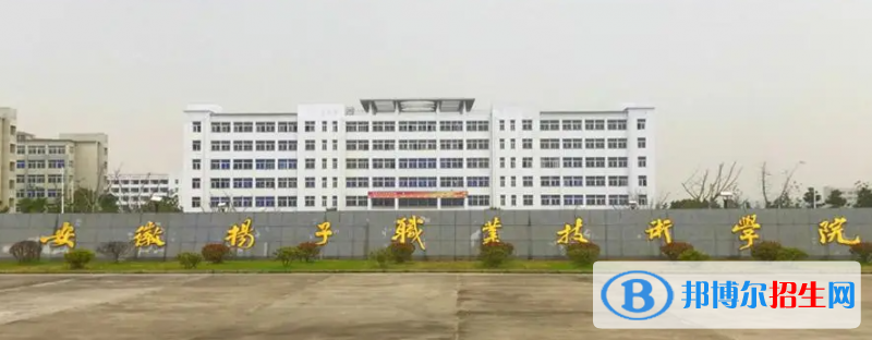安徽揚(yáng)子職業(yè)技術(shù)學(xué)院?jiǎn)握性趺礃樱? width=