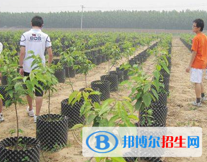農(nóng)業(yè)建筑環(huán)境與能源工程專(zhuān)業(yè)好嗎?(農(nóng)業(yè)建筑環(huán)境與能源工程專(zhuān)業(yè))