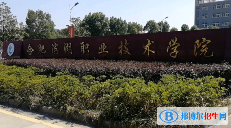 合肥濱湖職業(yè)技術(shù)學(xué)院?jiǎn)握性趺礃樱? width=