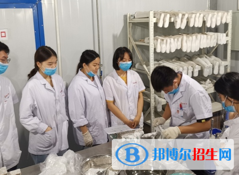 假肢矯形工程專(zhuān)業(yè)好嗎?(假肢矯形工程專(zhuān)業(yè))