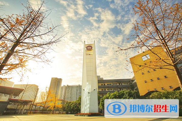 成都職業(yè)技術(shù)學(xué)院?jiǎn)握?023年招生簡(jiǎn)章