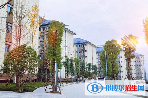 達州職業(yè)技術(shù)學院2023單招專業(yè)有哪些?
