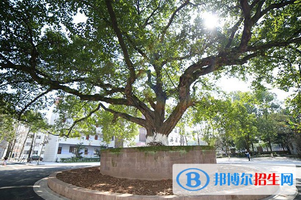 宜賓職業(yè)技術(shù)學(xué)院單招2023年學(xué)費(fèi)是多少