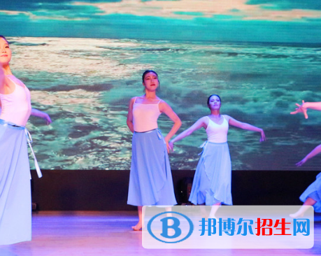 舞蹈表演專(zhuān)業(yè)好嗎?(舞蹈表演專(zhuān)業(yè))