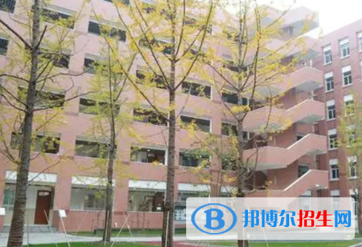 上海盧灣高級(jí)中學(xué)國(guó)際部2023年學(xué)費(fèi)標(biāo)準(zhǔn)