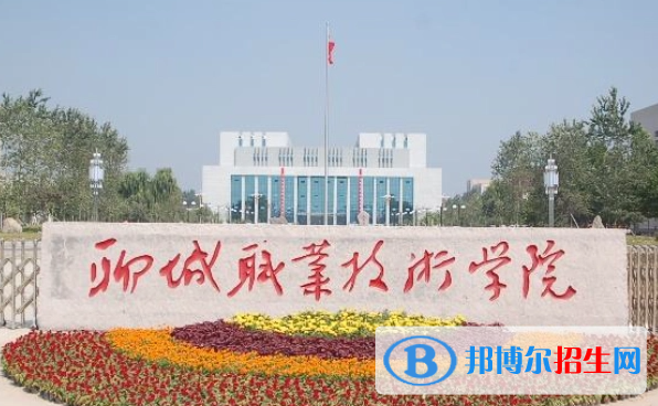 聊城職業(yè)技術(shù)學(xué)院單招怎么樣？