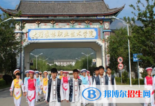 大理所有的?？茖W(xué)校有哪些?(附學(xué)校名單)