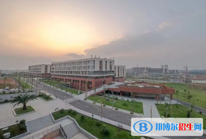 四川單招金融服務(wù)與管理專業(yè)2023年有哪些學(xué)校