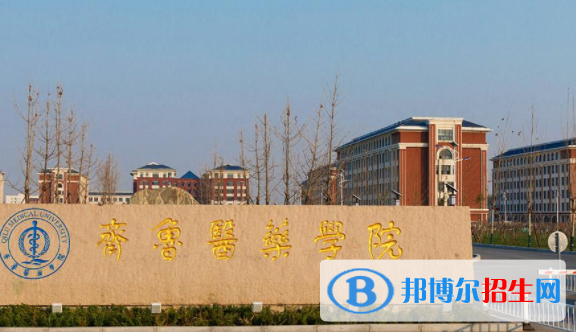 齊魯醫(yī)藥學(xué)院是不是雙一流大學(xué)嗎？