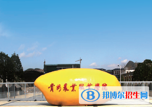 貴州農(nóng)業(yè)職業(yè)學(xué)院單招怎么樣？